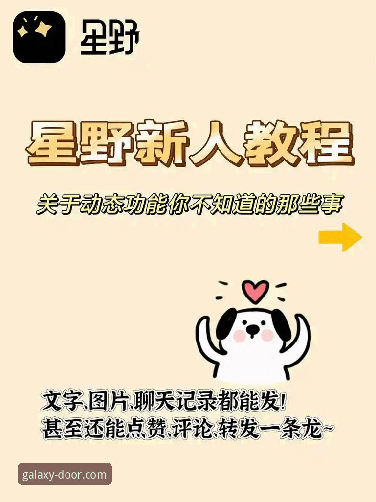 星空入口官方网站下载 星空入口平台App下载与安装完整操作教程